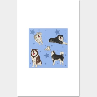 Alaskan Malamute Pattern Blue Posters and Art